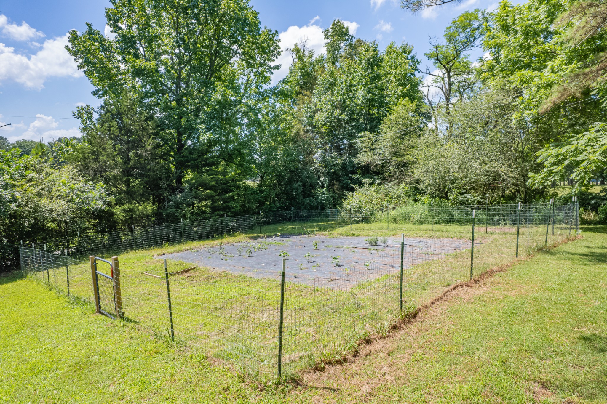 812 Good Hope Road Leoma, TN 38468 - Photo 13 of 66