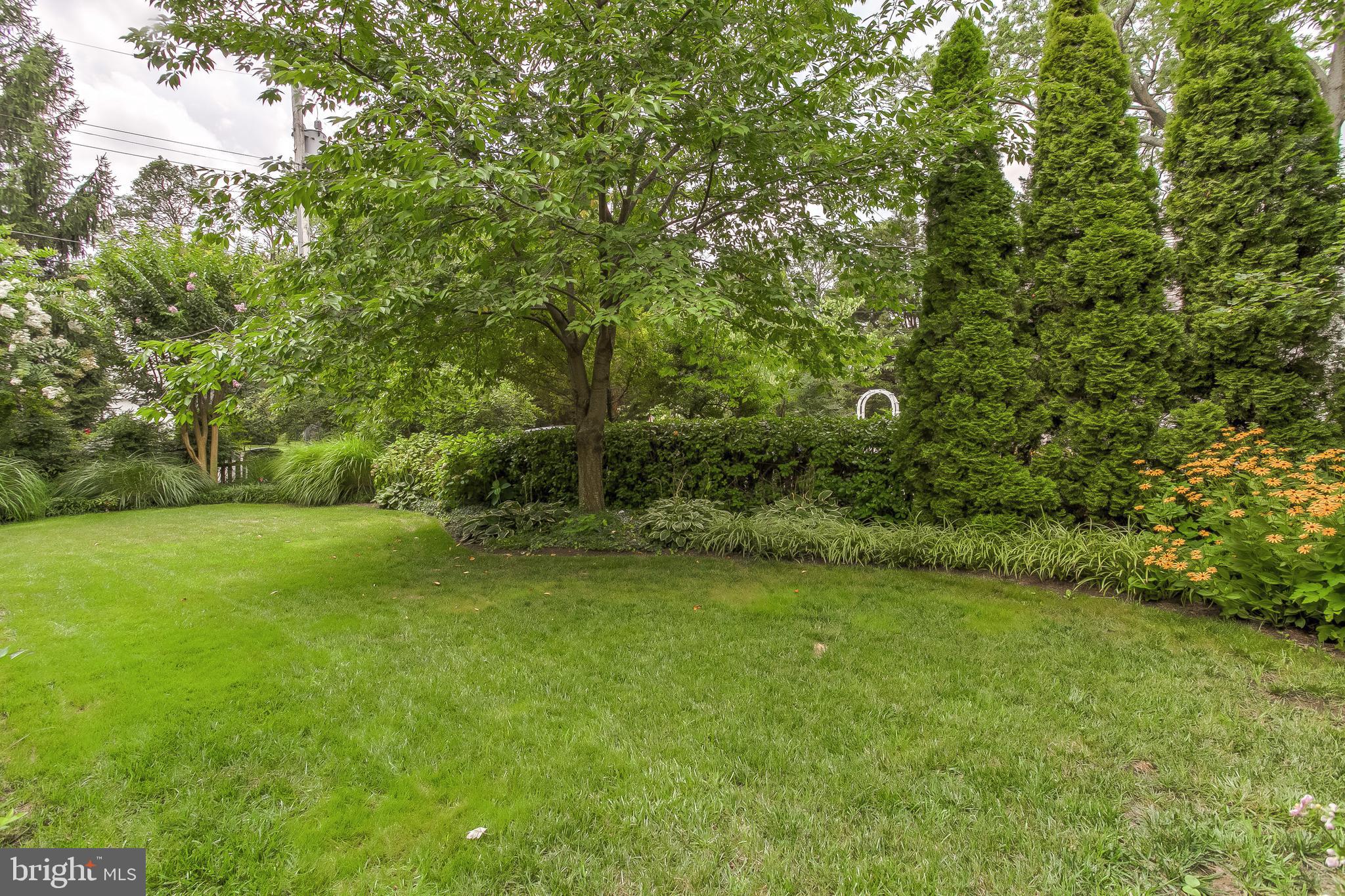 109 Enfield Road Baltimore, MD 21212 - Photo 37 of 39 Yard