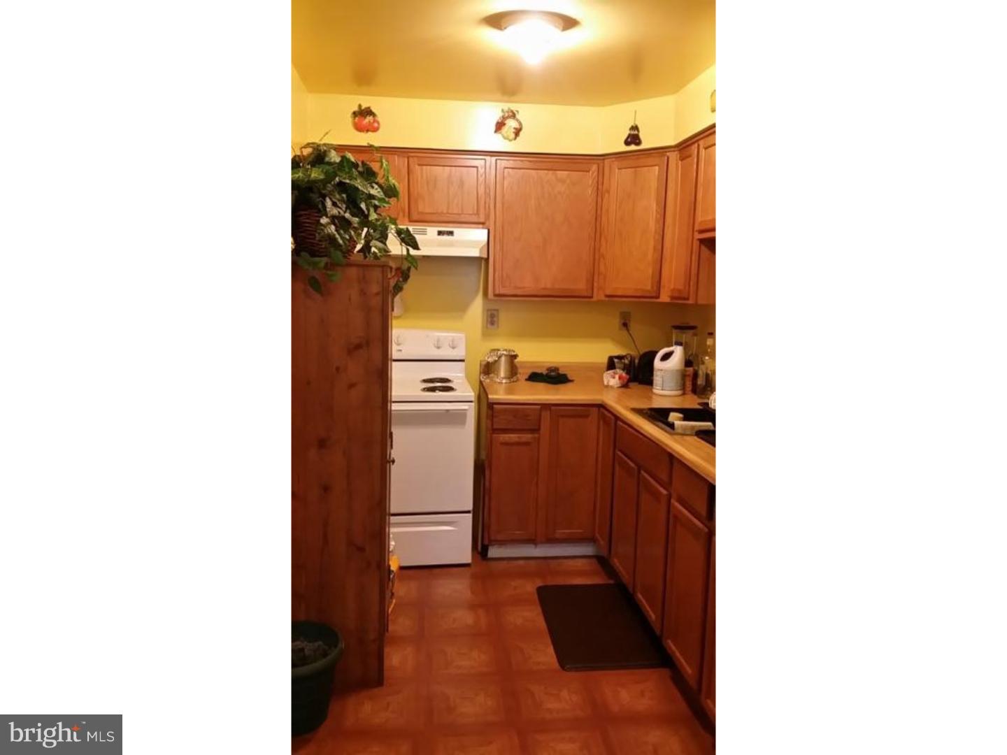 1242 Rainer Road Brookhaven, PA 19015 - Photo 3 of 6 Gallery Image 3
