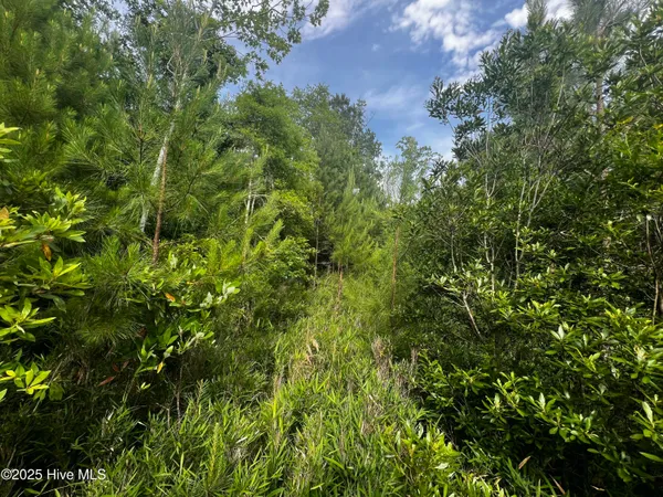 $217,399 | 0 White Farm Road, Oriental, NC 28571