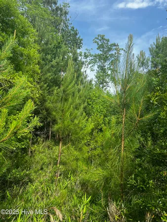 $217,399 | 0 White Farm Road, Oriental, NC 28571