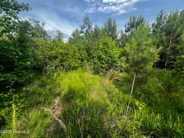 $217,399 | 0 White Farm Road, Oriental, NC 28571