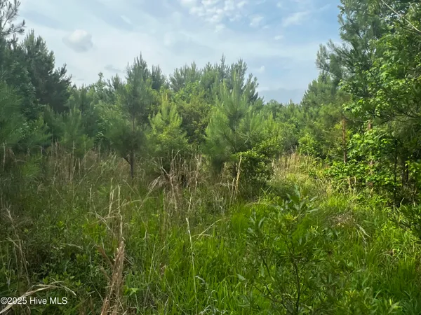 $217,399 | 0 White Farm Road, Oriental, NC 28571