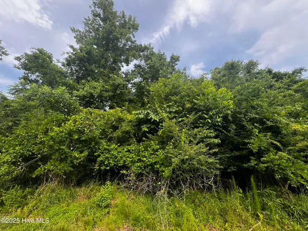 $217,399 | 0 White Farm Road, Oriental, NC 28571