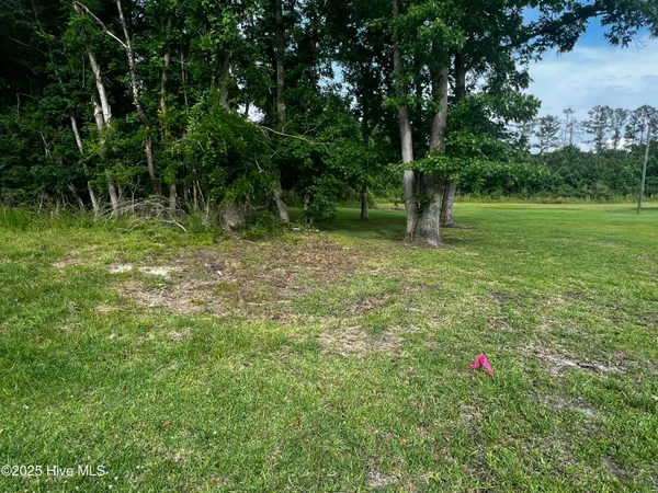 $217,399 | 0 White Farm Road, Oriental, NC 28571