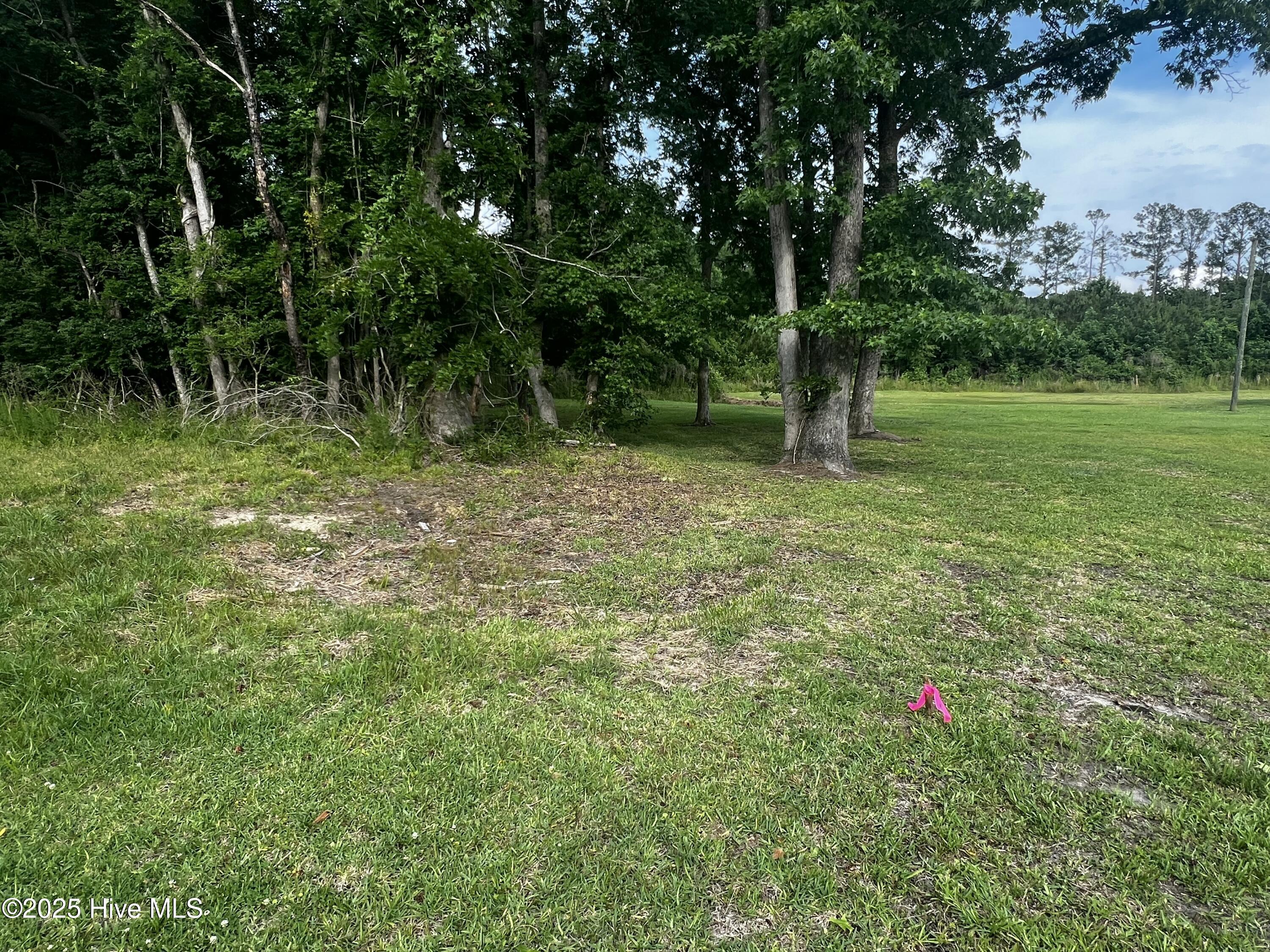 0 White Farm Road Oriental, NC 28571 - Photo 17 of 36 IMG_2804