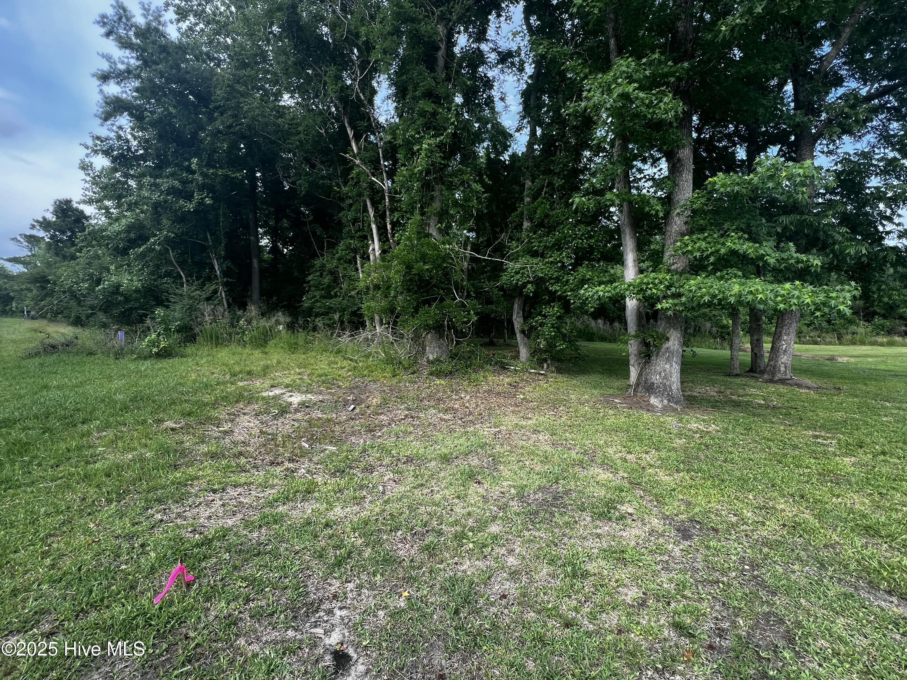 0 White Farm Road Oriental, NC 28571 - Photo 18 of 36 IMG_2805