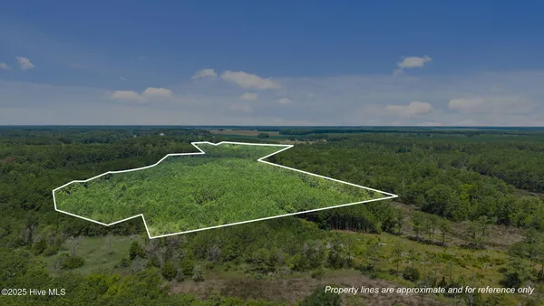 $217,399 | 0 White Farm Road, Oriental, NC 28571