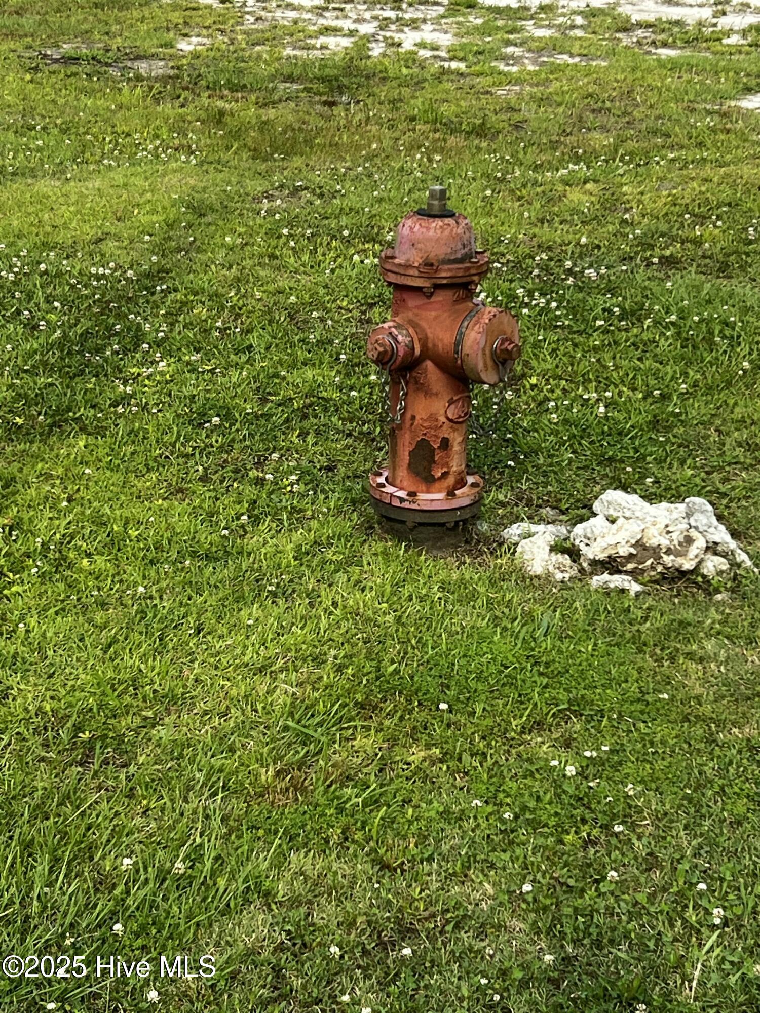 0 White Farm Road Oriental, NC 28571 - Photo 21 of 36 IMG_2808