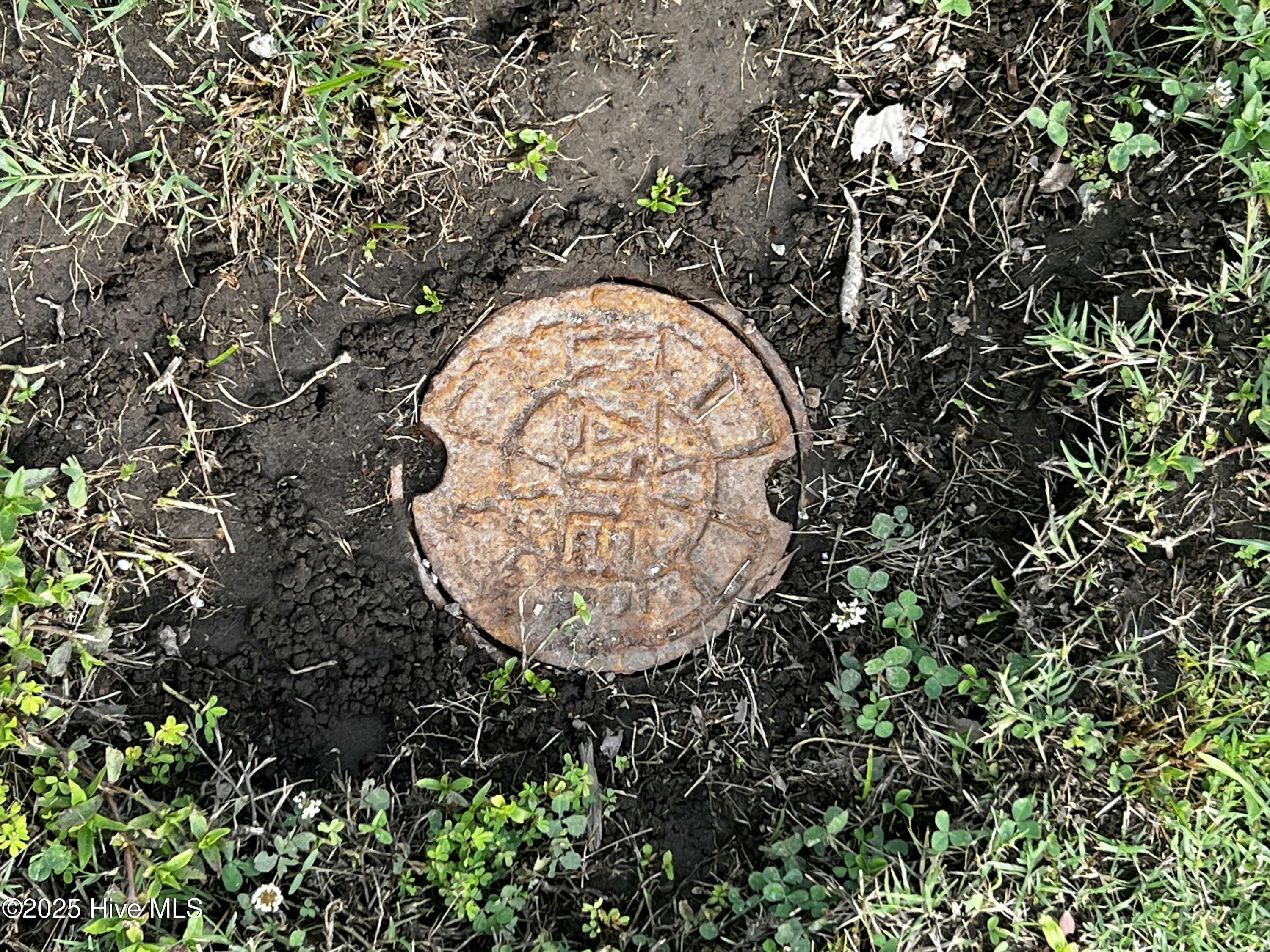 0 White Farm Road Oriental, NC 28571 - Photo 22 of 36 IMG_2809