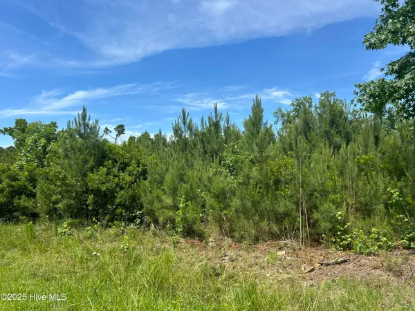 $217,399 | 0 White Farm Road, Oriental, NC 28571