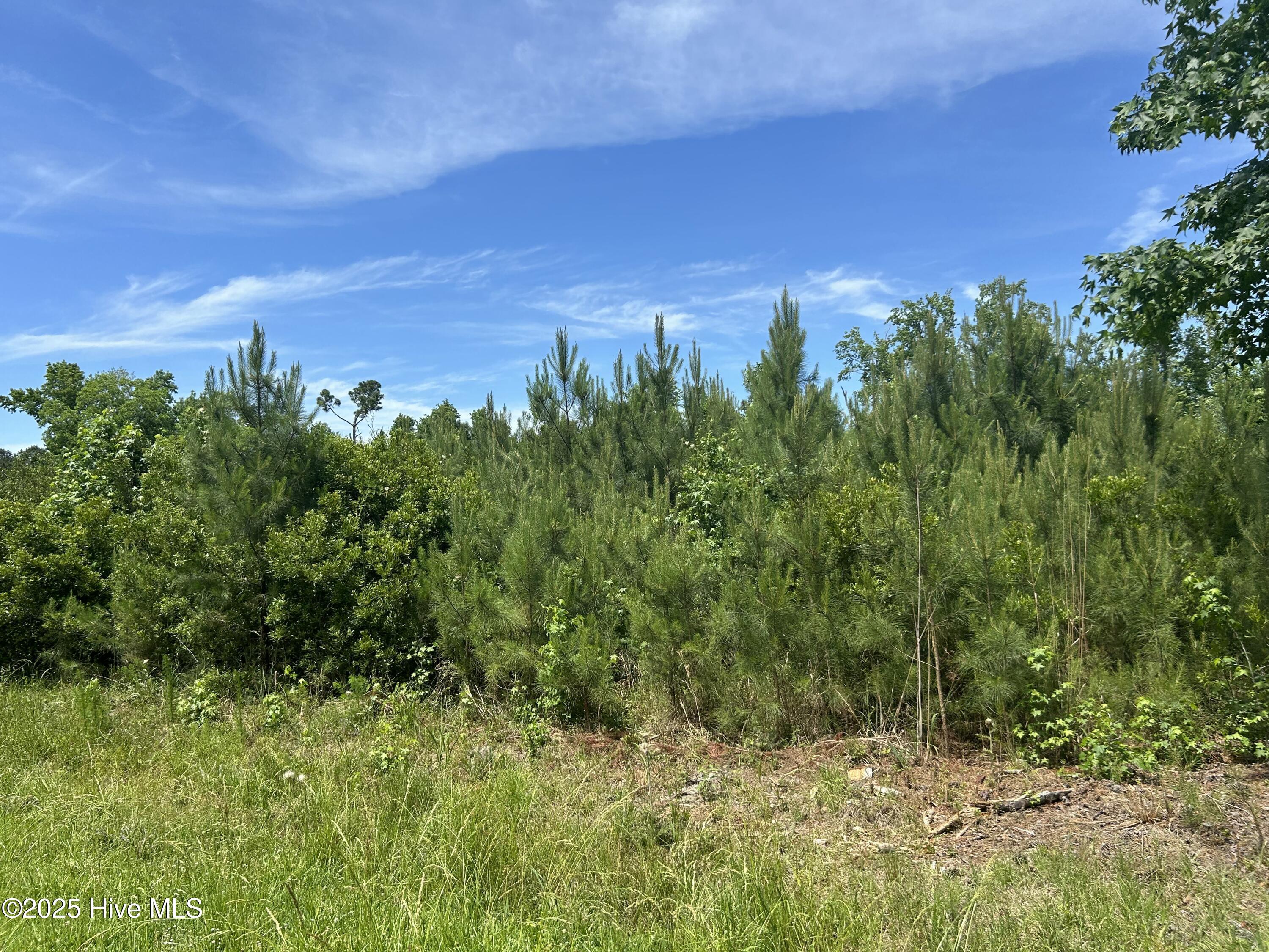 0 White Farm Road Oriental, NC 28571 - Photo 23 of 36 IMG_9956