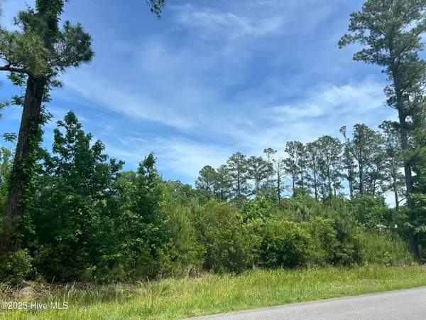 $217,399 | 0 White Farm Road, Oriental, NC 28571