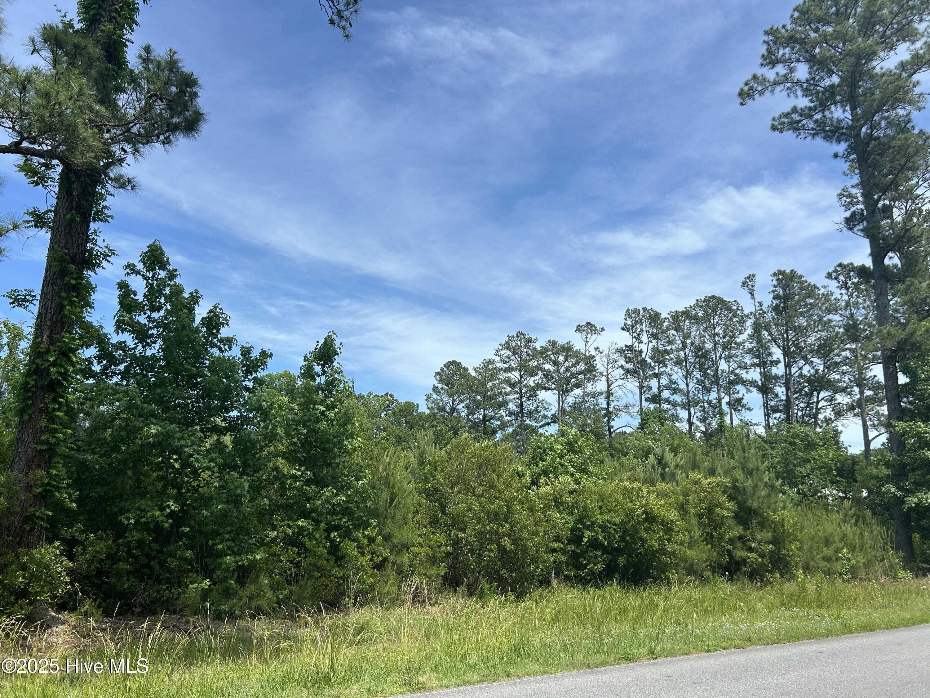 0 White Farm Road Oriental, NC 28571 - Photo 24 of 36 IMG_9958