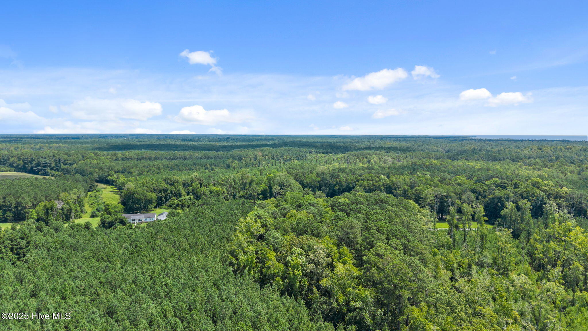 0 White Farm Road Oriental, NC 28571 - Photo 26 of 36 2-web-or-mls-DJI_20250711114905_0011_D