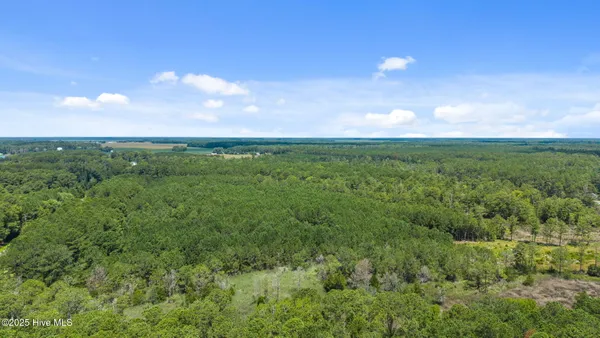 $217,399 | 0 White Farm Road, Oriental, NC 28571