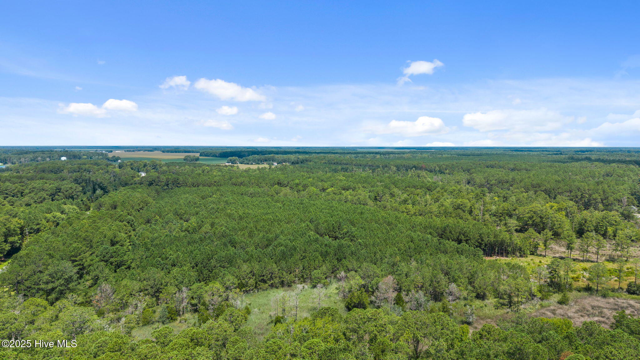 0 White Farm Road Oriental, NC 28571 - Photo 29 of 36 5-web-or-mls-DJI_20250711115032_0014_D