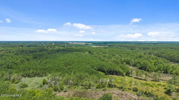 $217,399 | 0 White Farm Road, Oriental, NC 28571