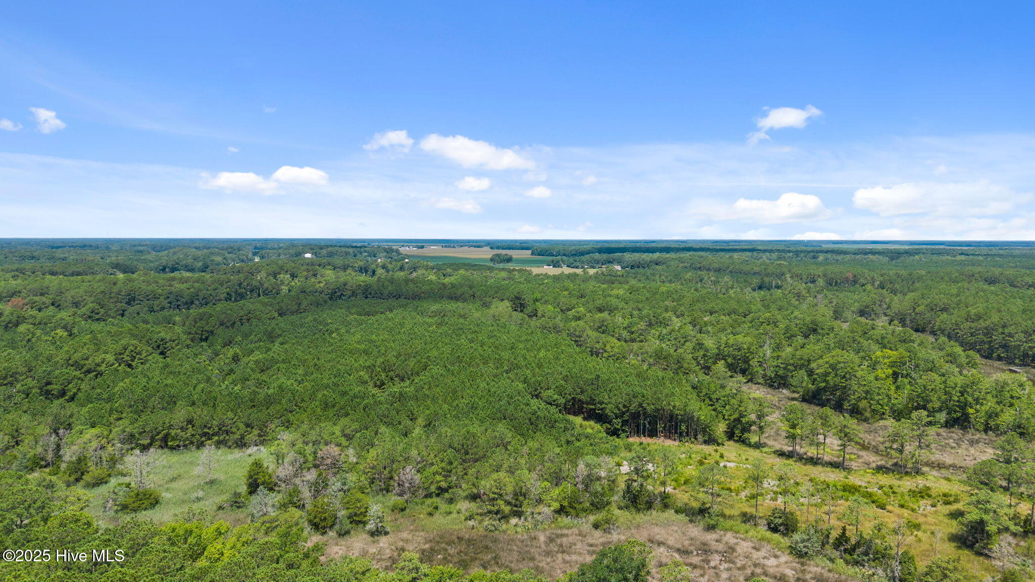 0 White Farm Road Oriental, NC 28571 - Photo 30 of 36 6-web-or-mls-DJI_20250711115055_0015_D