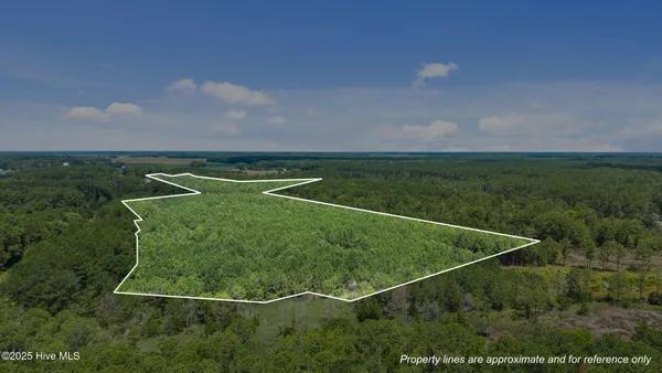 $217,399 | 0 White Farm Road, Oriental, NC 28571