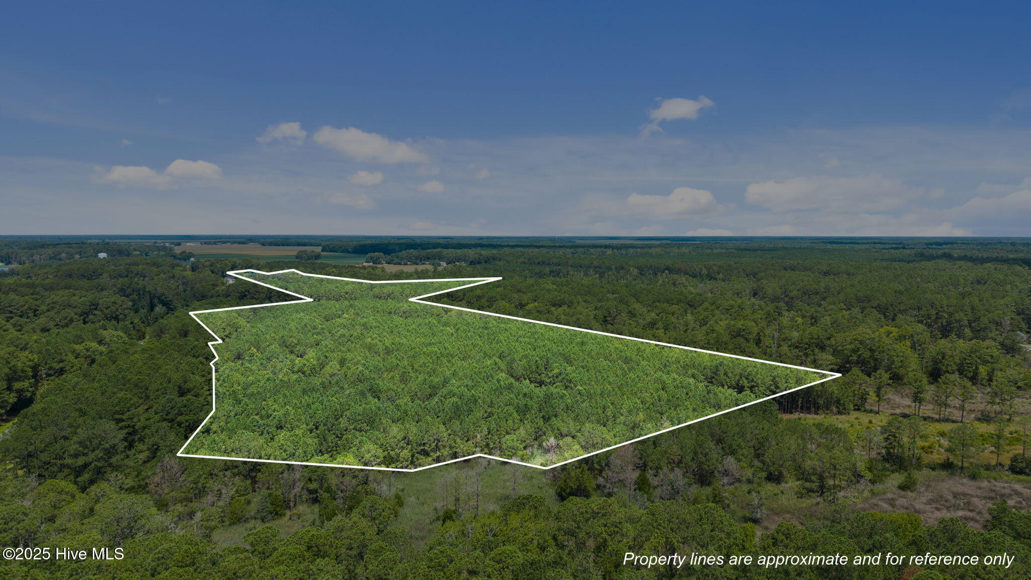 0 White Farm Road Oriental, NC 28571 - Photo 3 of 36 14-web-or-mls-DJI_20250711115032_0014_D_