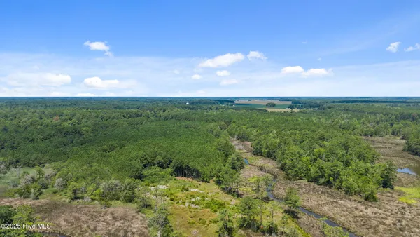 $217,399 | 0 White Farm Road, Oriental, NC 28571