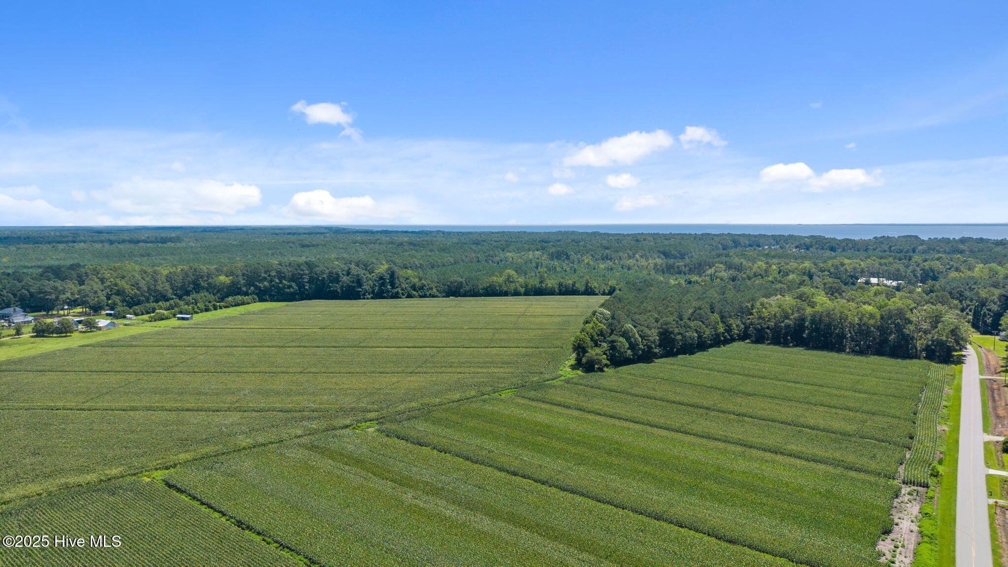 0 White Farm Road Oriental, NC 28571 - Photo 34 of 36 10-web-or-mls-DJI_20250711115617_0020_D