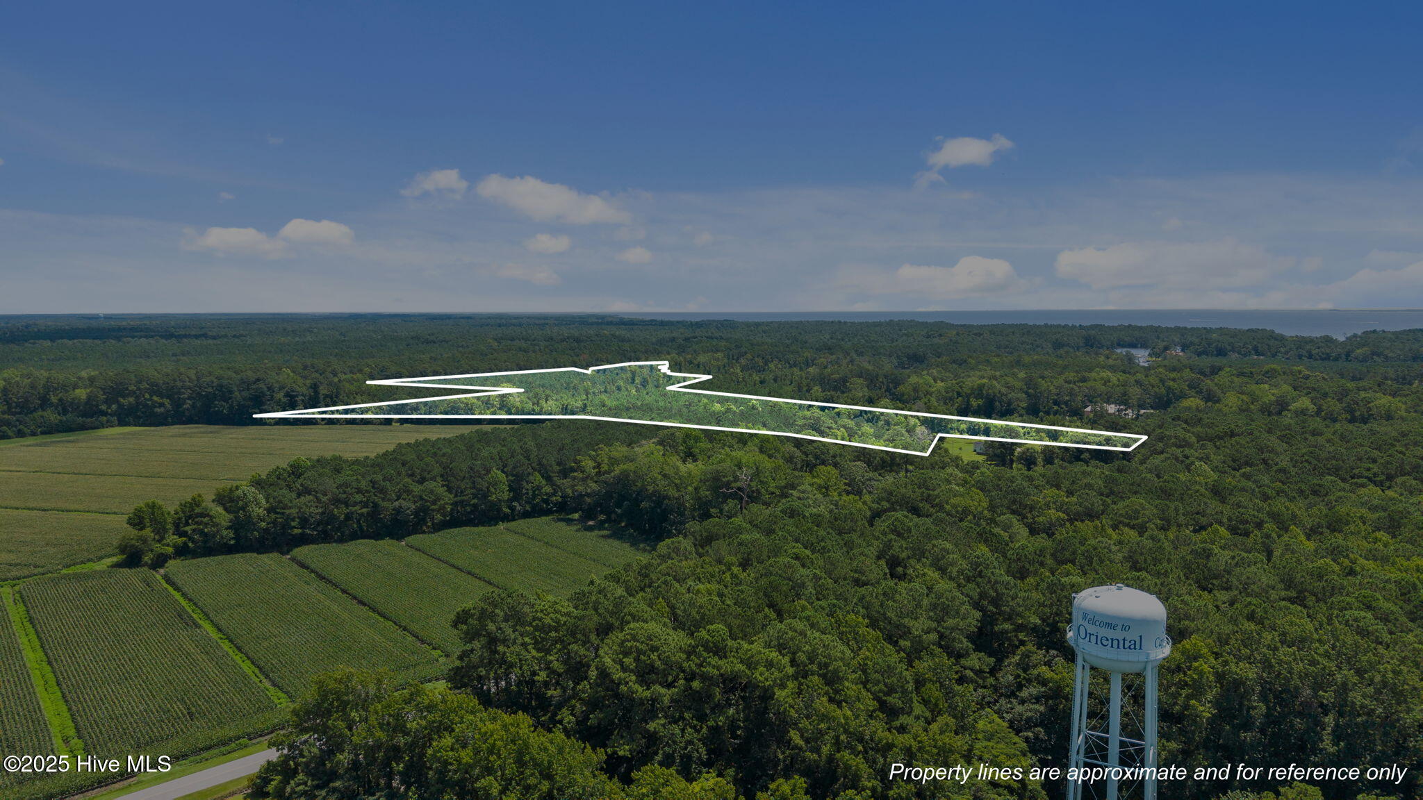 0 White Farm Road Oriental, NC 28571 - Photo 5 of 36 17-web-or-mls-DJI_20250711115550_0019_D_