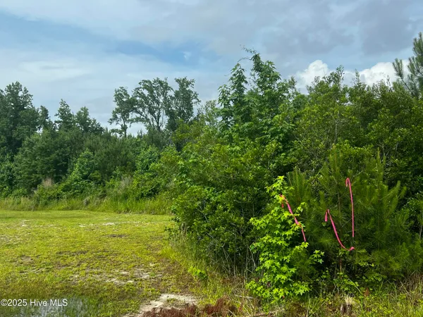 $217,399 | 0 White Farm Road, Oriental, NC 28571