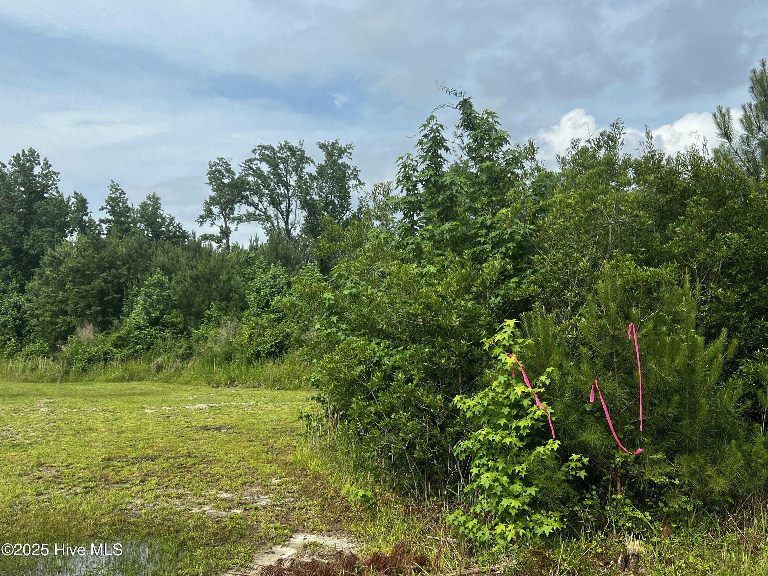 0 White Farm Road Oriental, NC 28571 - Photo 8 of 36 IMG_2784