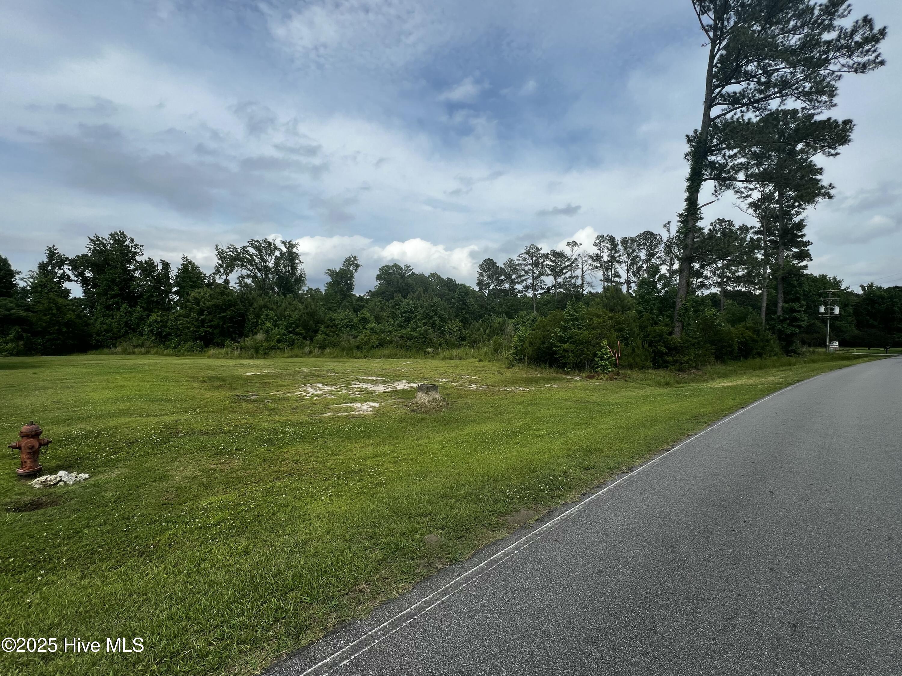 0 White Farm Road Oriental, NC 28571 - Photo 9 of 36 Approx half acre open land along road