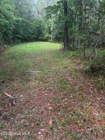 $217,399 | 0 White Farm Road, Oriental, NC 28571
