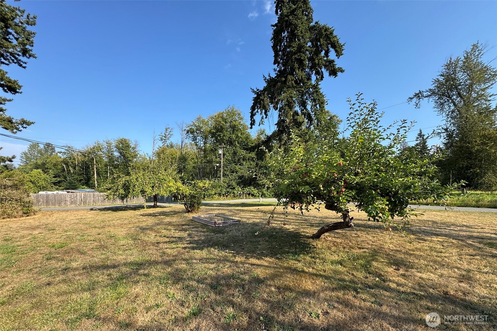 190 Pierson Road Sequim, WA 98382 - Photo 36 of 40 a view of dirt field with trees around