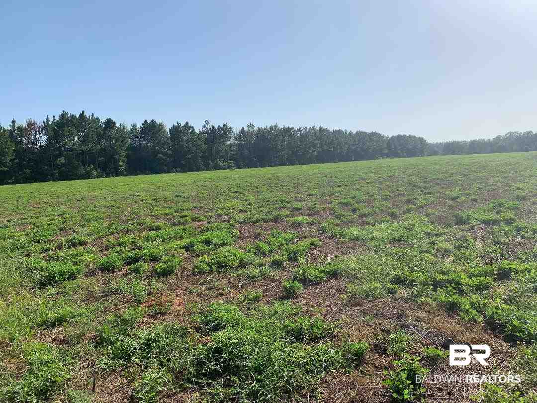 23270 A Ryan Road Robertsdale, AL 36567 - Photo 2 of 2