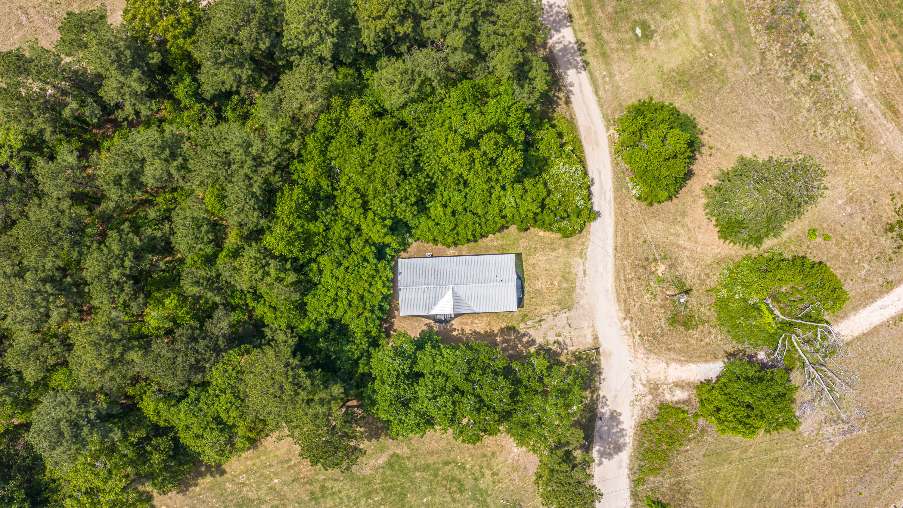 210 Grass Hill Road Estill, SC 29918 - Photo 47 of 66 210GrassRd071
