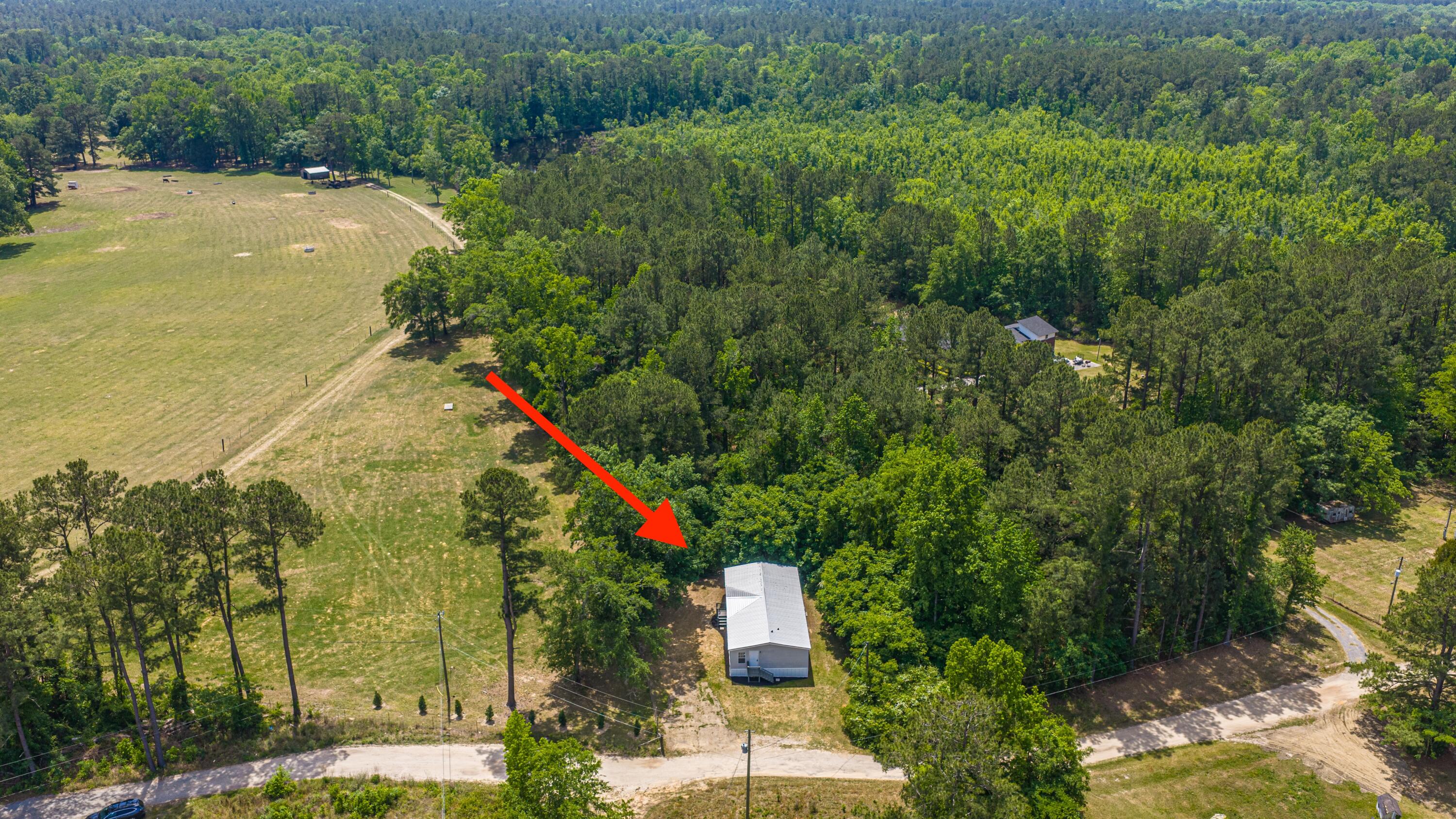 210 Grass Hill Road Estill, SC 29918 - Photo 48 of 66 210GrassRd046
