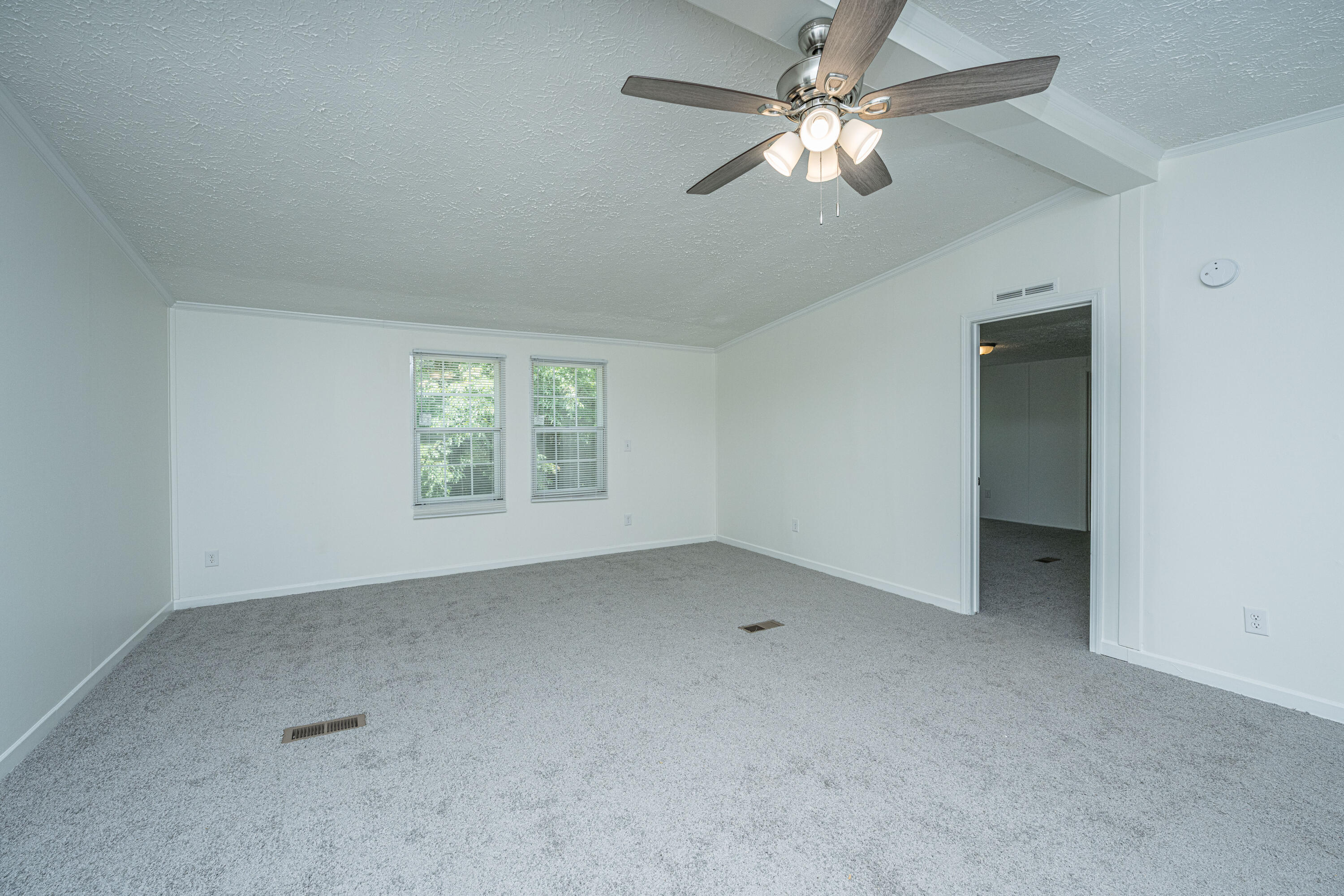 210 Grass Hill Road Estill, SC 29918 - Photo 6 of 66 210GrassRd007