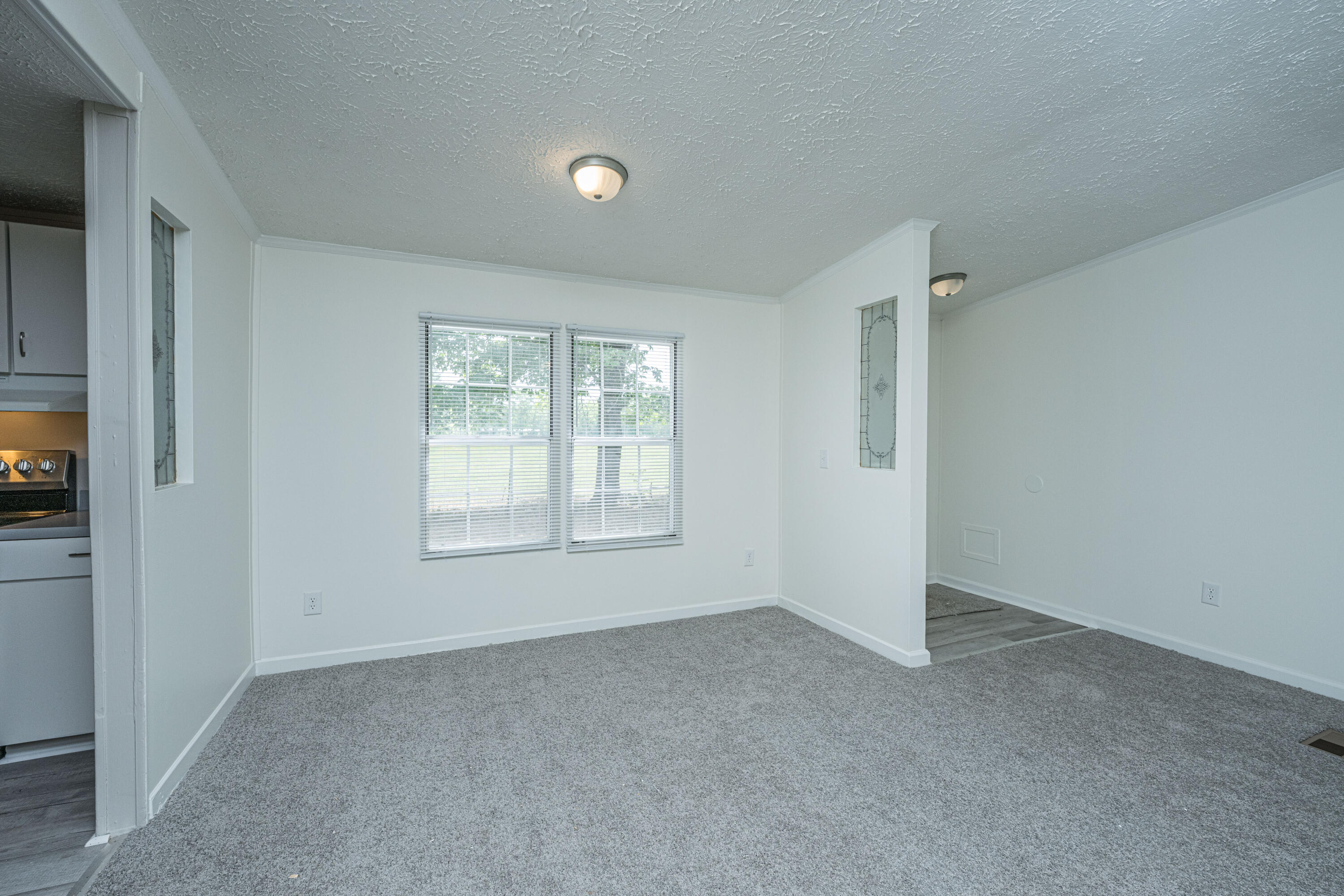 210 Grass Hill Road Estill, SC 29918 - Photo 10 of 66 210GrassRd010