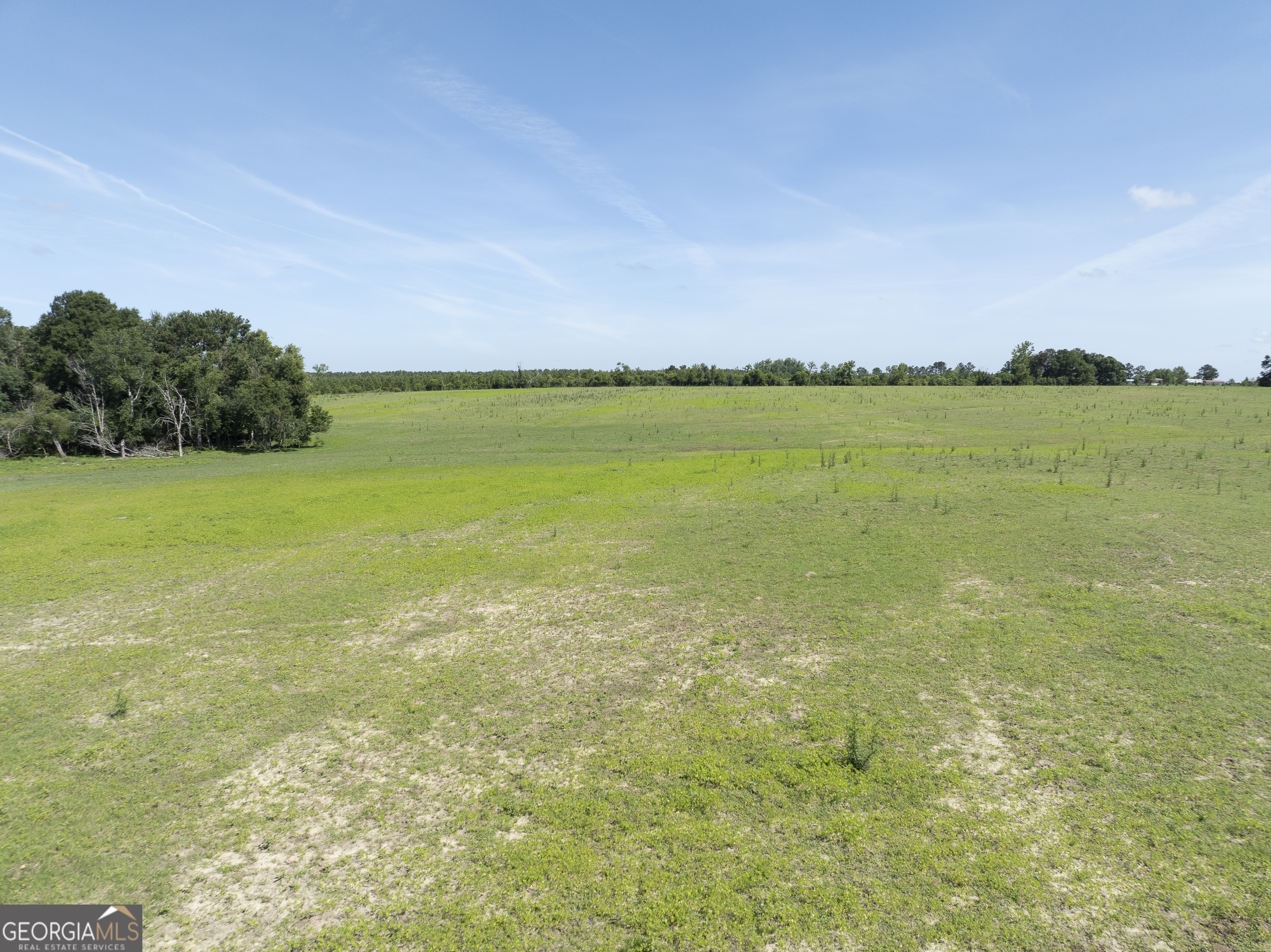 3349 A Scotland Road Alamo, GA 30411 - Photo 23 of 29