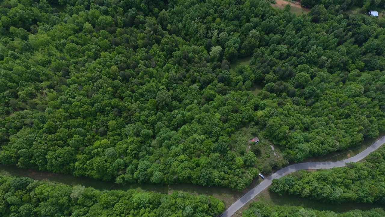 5675 Creek Ridge Road Olivehill, TN 38475 - Photo 1 of 21 Gallery Image 1