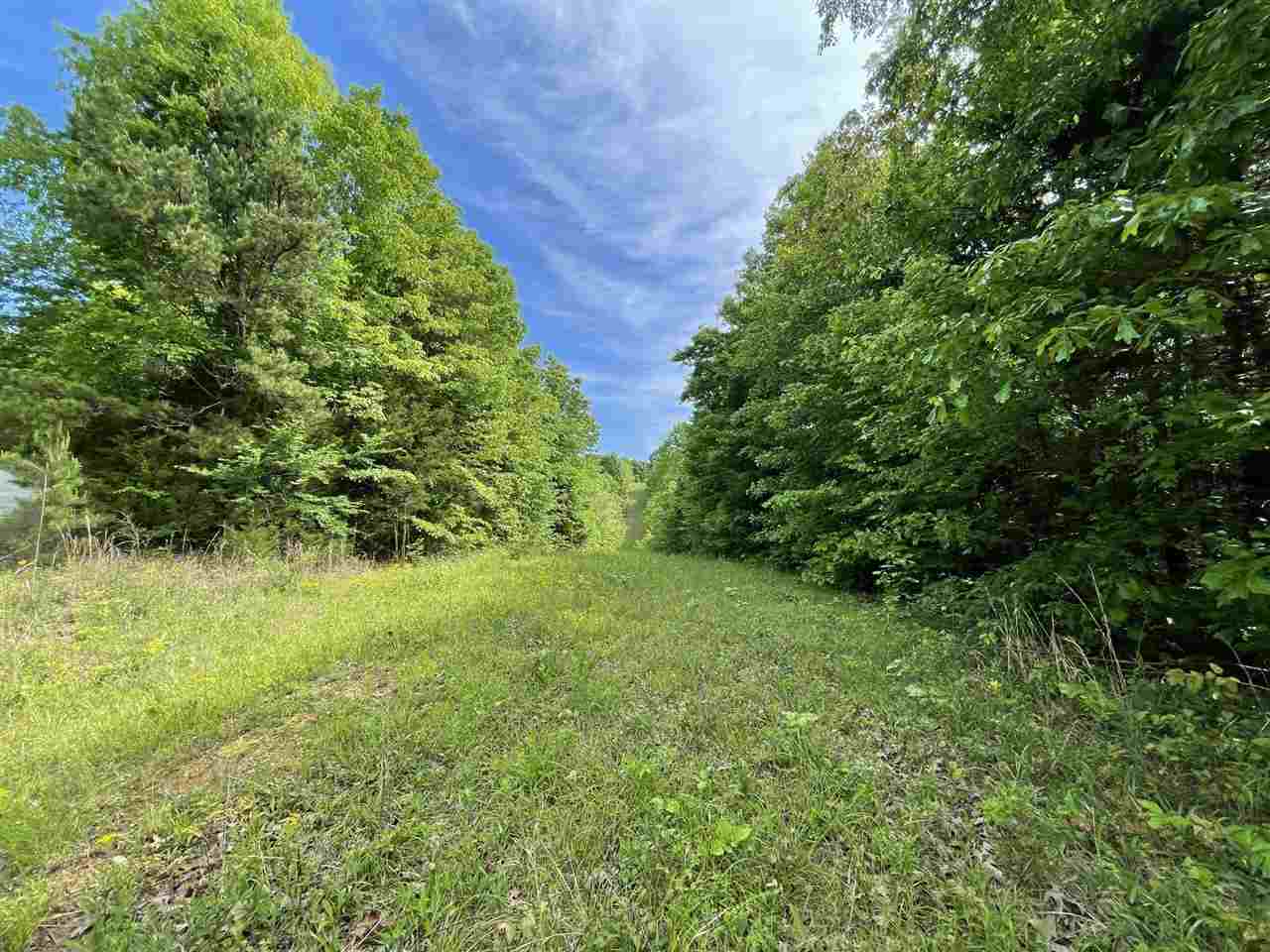 5675 Creek Ridge Road Olivehill, TN 38475 - Photo 2 of 21 Gallery Image 2