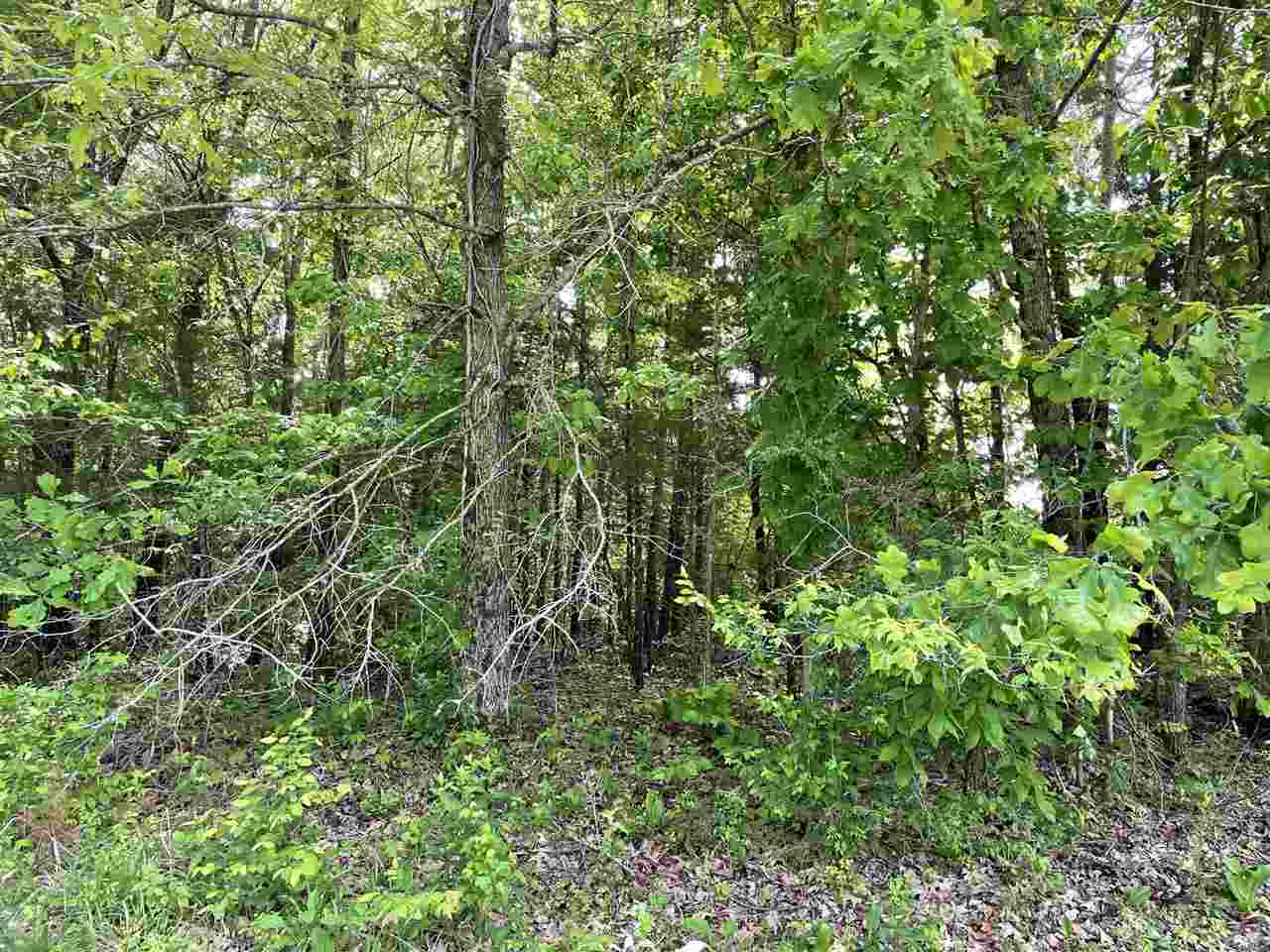 5675 Creek Ridge Road Olivehill, TN 38475 - Photo 14 of 21 Gallery Image 14