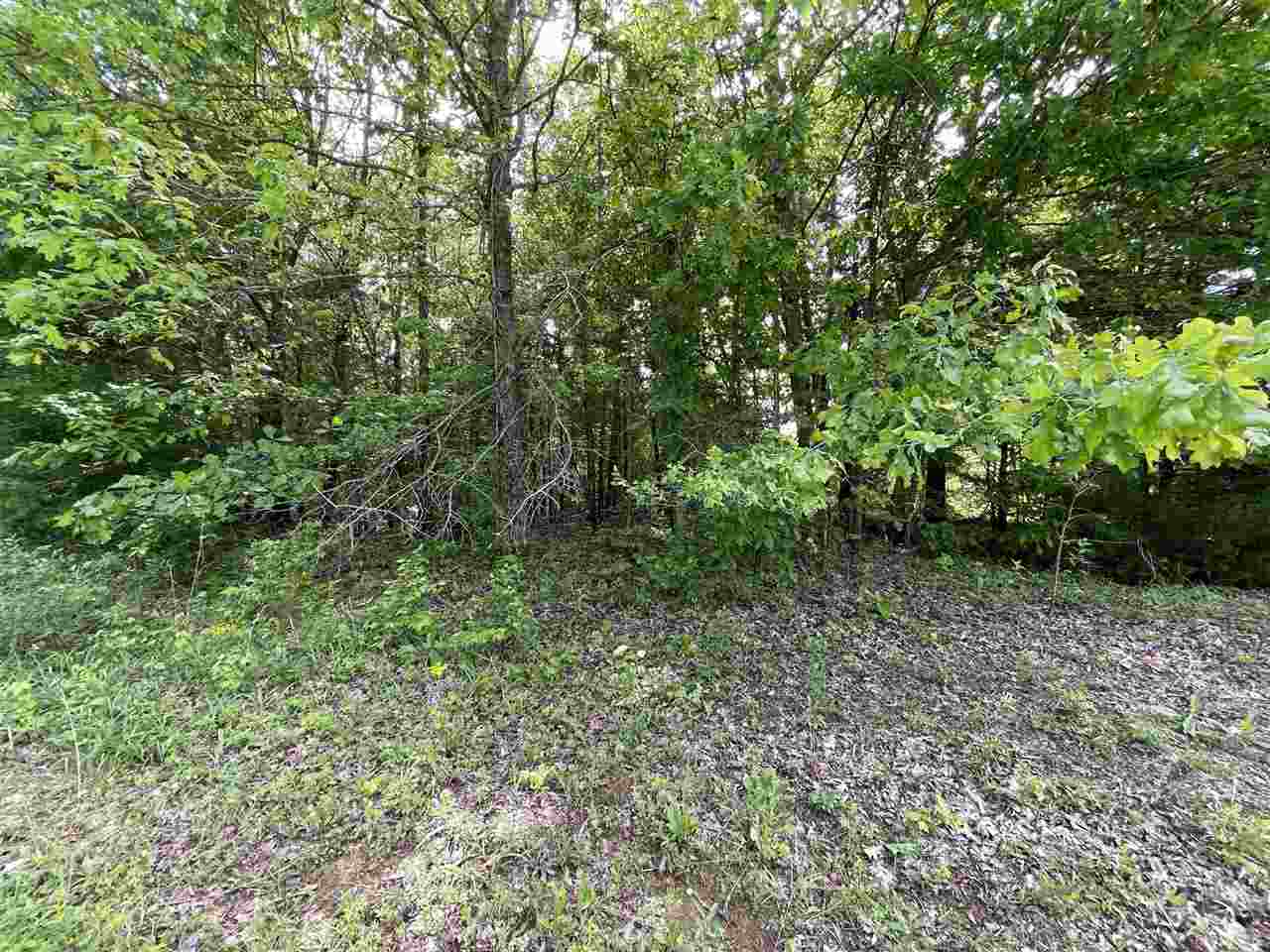 5675 Creek Ridge Road Olivehill, TN 38475 - Photo 15 of 21 Gallery Image 15