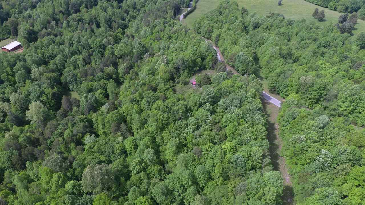 5675 Creek Ridge Road Olivehill, TN 38475 - Photo 19 of 21 Gallery Image 19