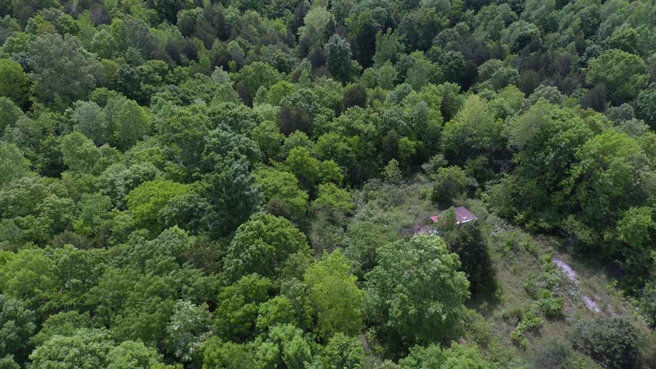 5675 Creek Ridge Road Olivehill, TN 38475 - Photo 20 of 21 Gallery Image 20