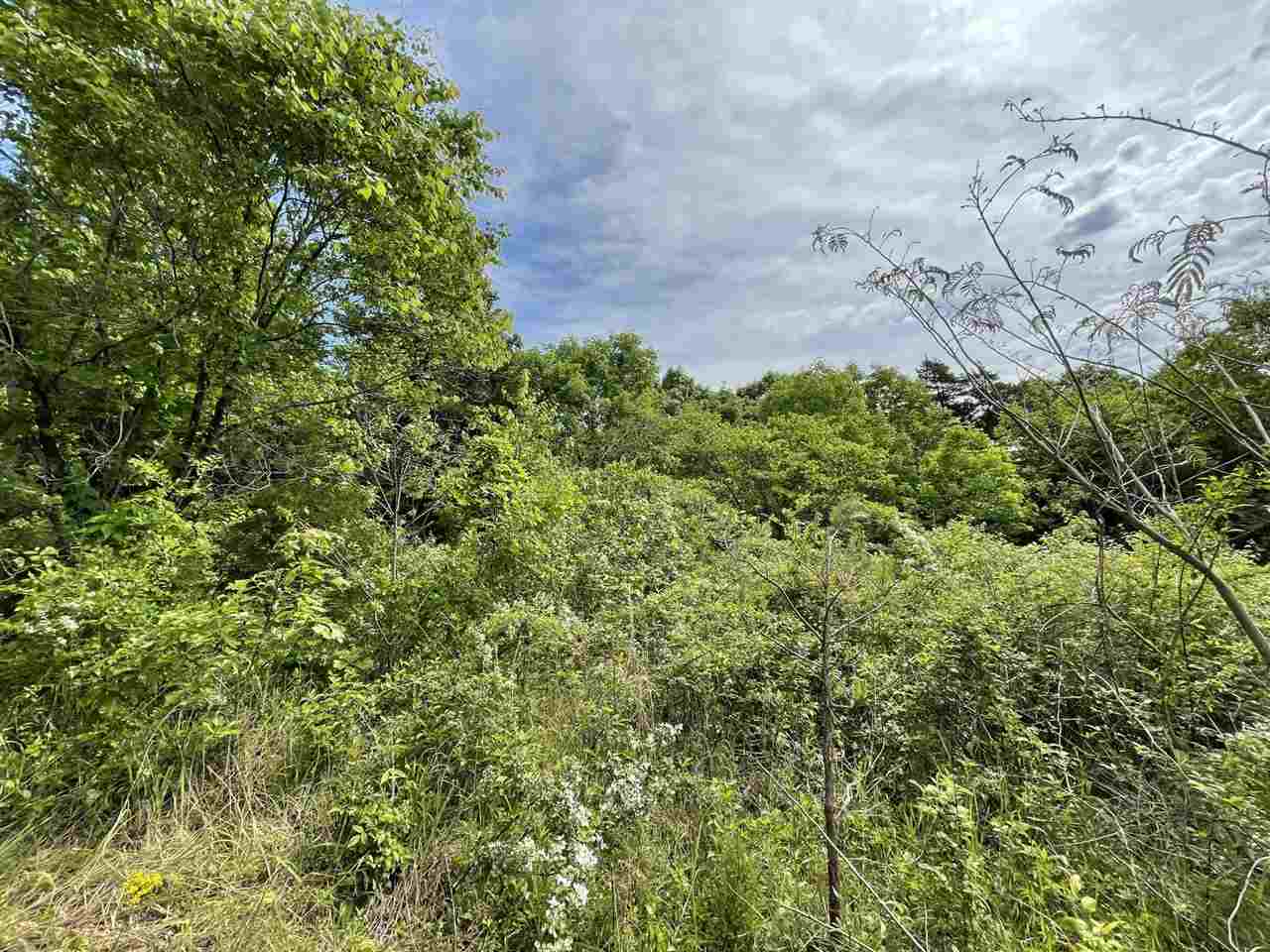 5675 Creek Ridge Road Olivehill, TN 38475 - Photo 6 of 21 Gallery Image 6