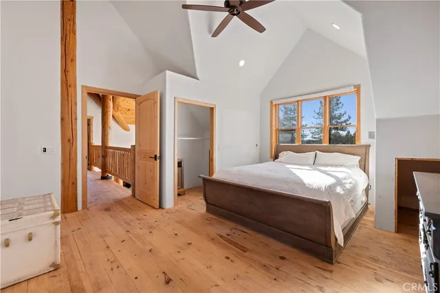 a view of a forest with a tree