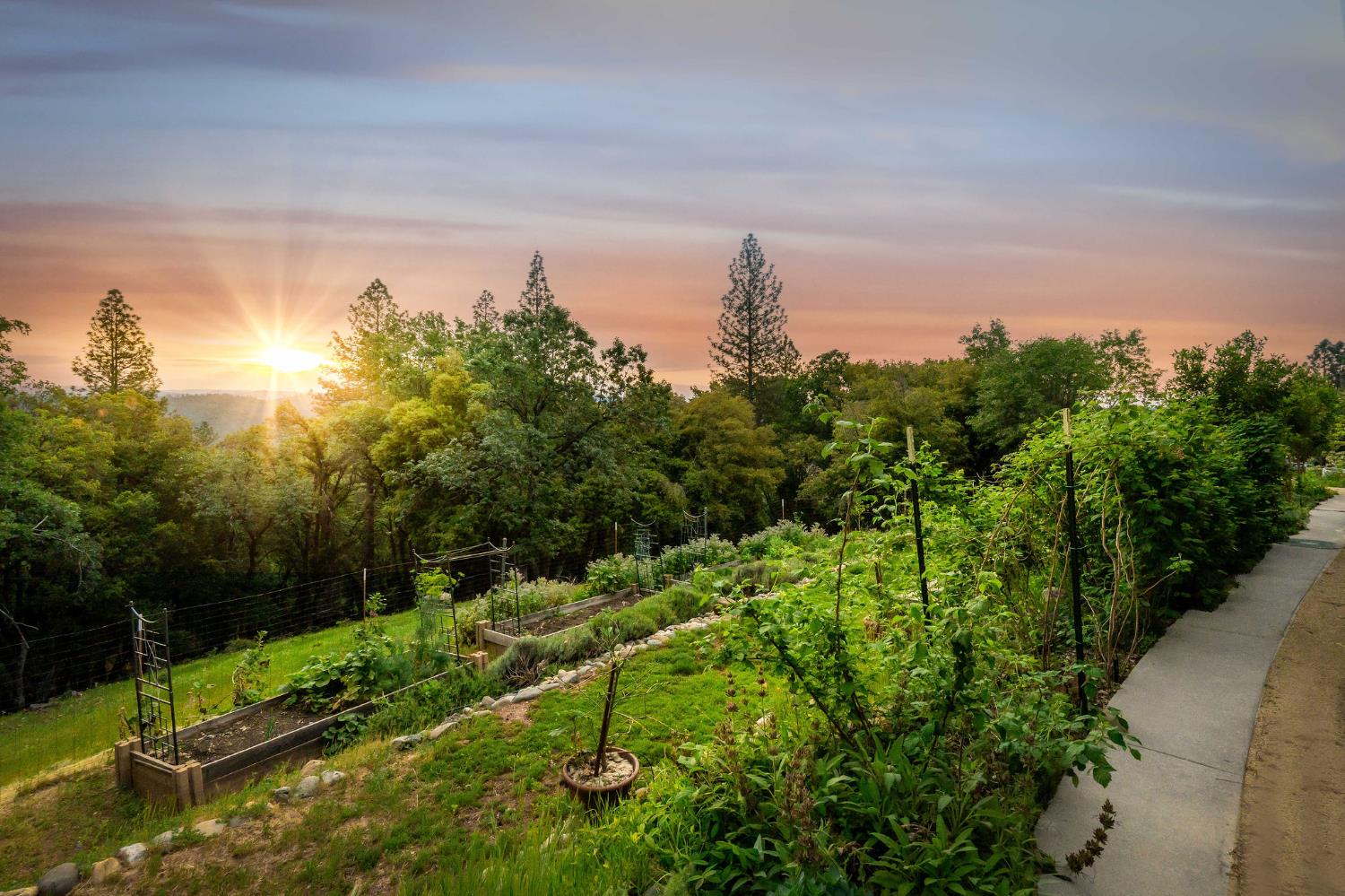 16105 John Way Grass Valley, CA 95949 - Photo 48 of 71 a view of a city with lush green forest