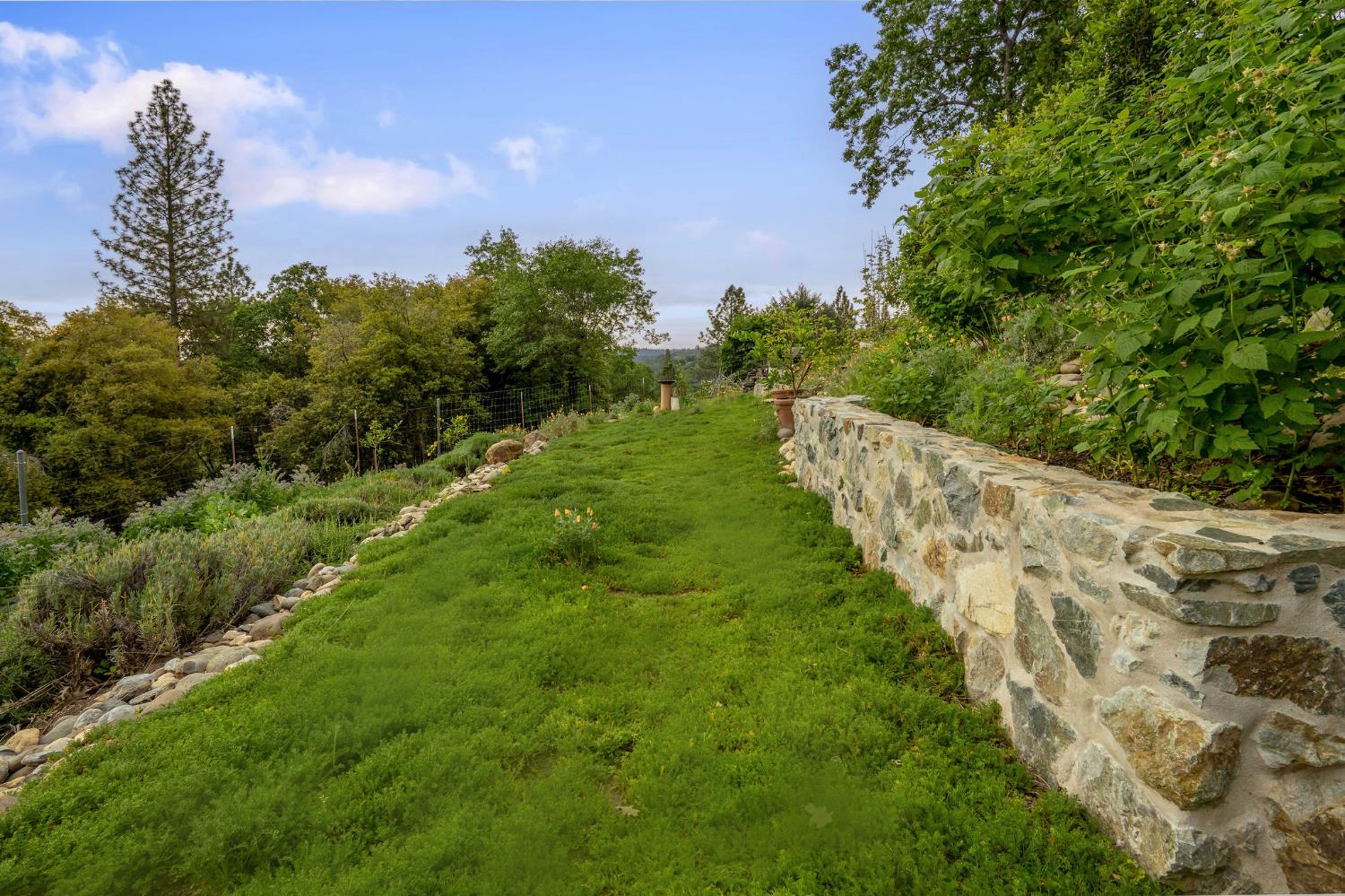 16105 John Way Grass Valley, CA 95949 - Photo 52 of 71 a view of a pathway both side of grassy field with trees