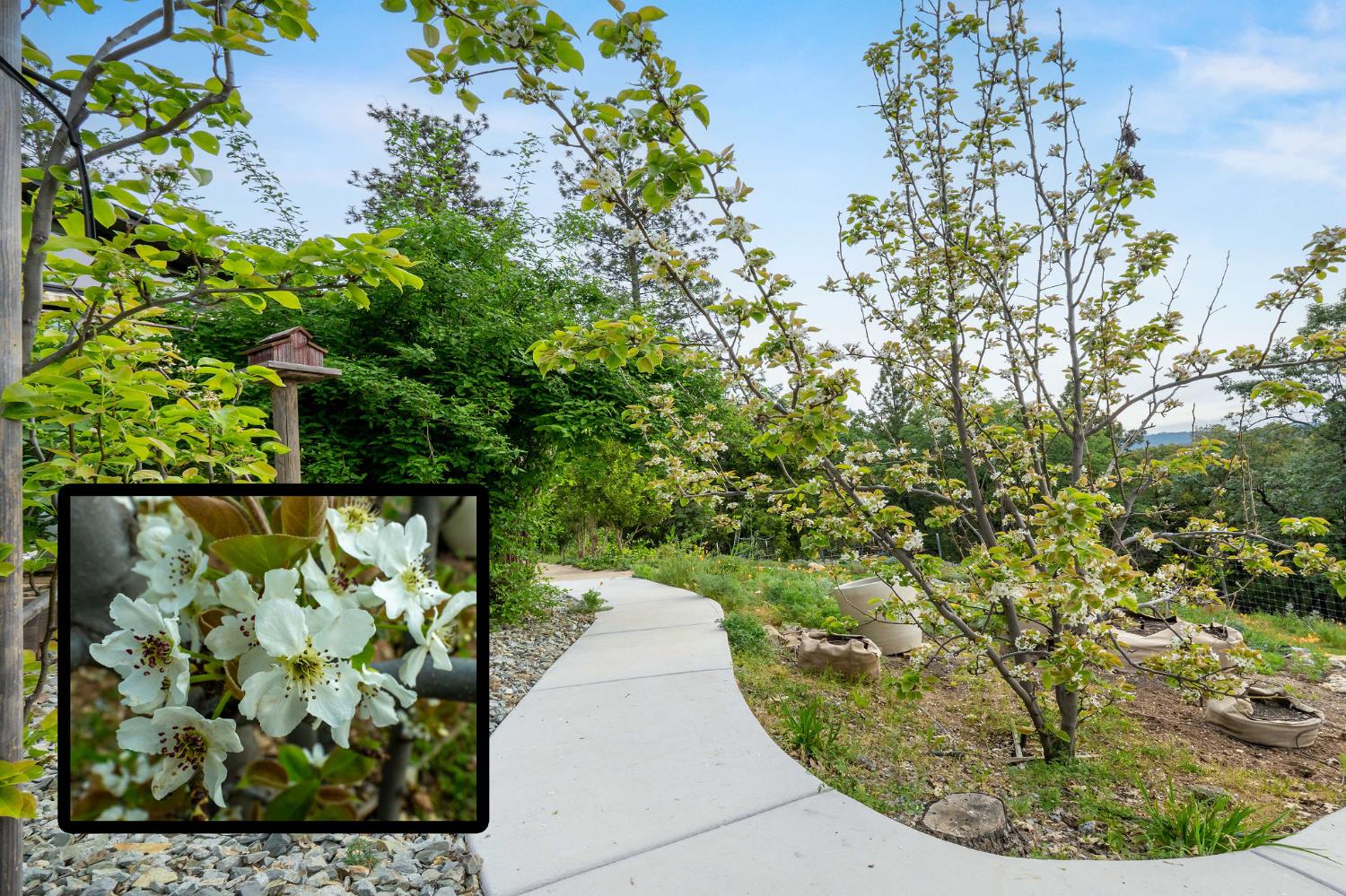 16105 John Way Grass Valley, CA 95949 - Photo 59 of 71